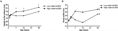 Effects of dam metabolic profile and seasonality (Spring vs. Winter) on their offspring’ metabolism, health, and immunity: maternal factors in dairy calves’ analytes
